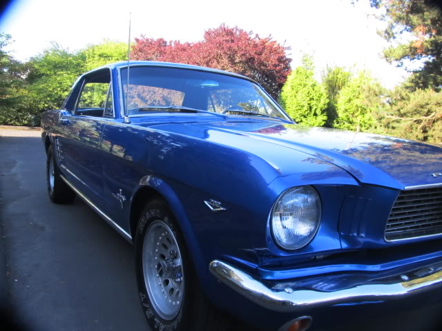 1966MustangBlue026