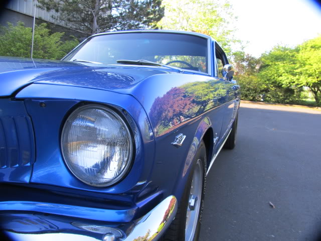 1966MustangBlue027