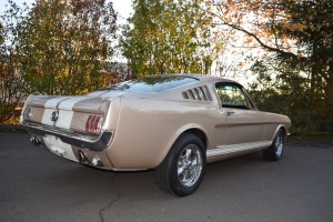 66 Fastback champagne 428