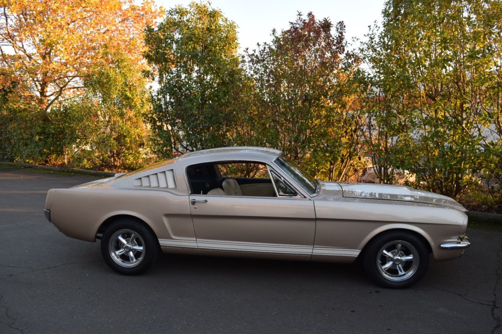 66 Fastback champagne 430